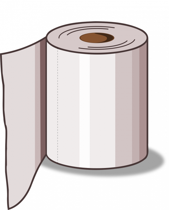 toilet-paper-4963556_1280